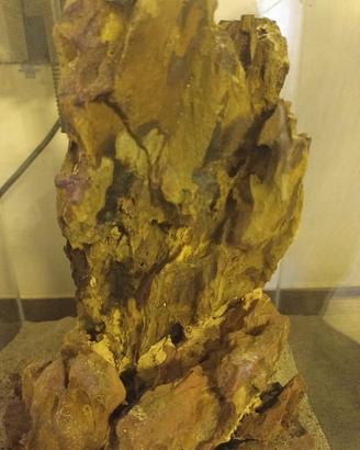 dragon stone