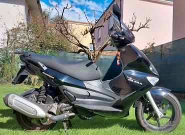 Gilera Runner 200 ST (anno 2009)