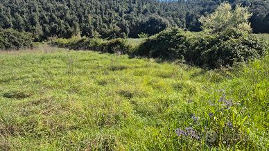 Terreno agricolo