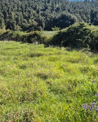 Terreno agricolo