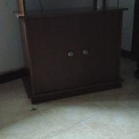 mobile tv