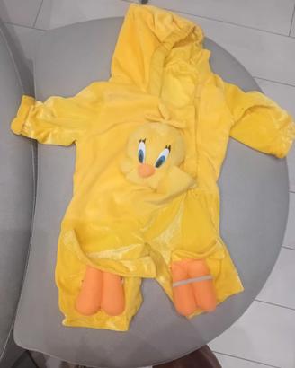 Costume Titti