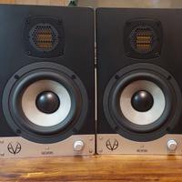 casse Audio  Monitor da Studio  EVE  sc 205