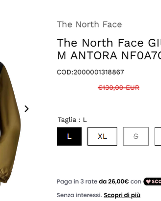 THE NORTH FACE