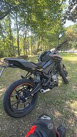CF MOTO 300 NK