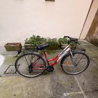 Bicicletta Rossa da città