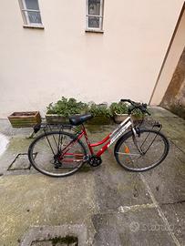 Bicicletta Rossa da città