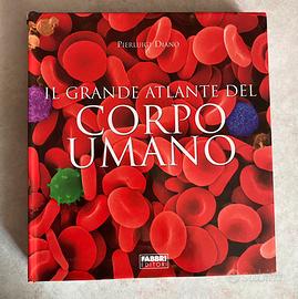 Libri saga grande atlante