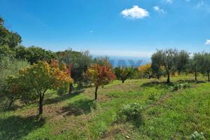 Terreno Edificabile - Mascali