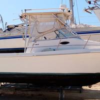 Cobia 270 WA macchina da pesca