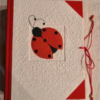 Album Foto Coccinella Fatto A Mano