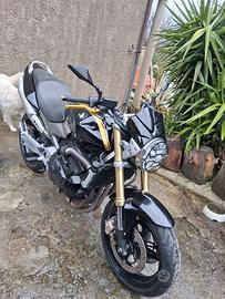 honda hornet 