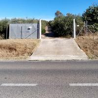 Terreno agricolo - 7.000 mq (Soleminis)