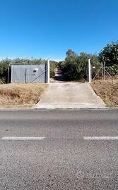 Terreno agricolo - 7.000 mq (Soleminis)