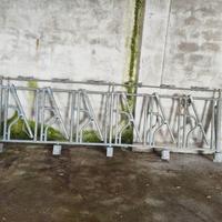 rastrelliera autocatturante per bovini adulti 