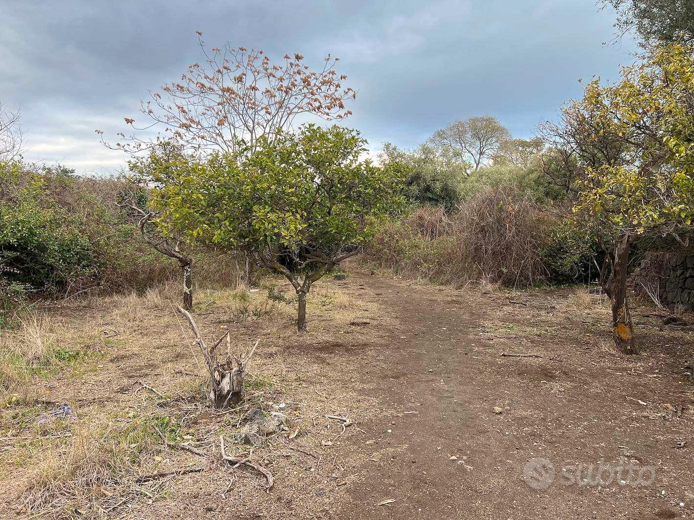 Rif.DR8| terreno agricolo acireale - Vista 2