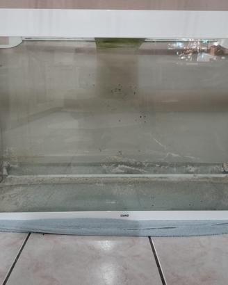 acquario askoll ciano