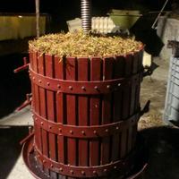 torchio+ attrezzature per vino