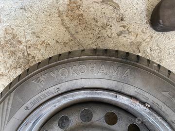 Gomme antineve 