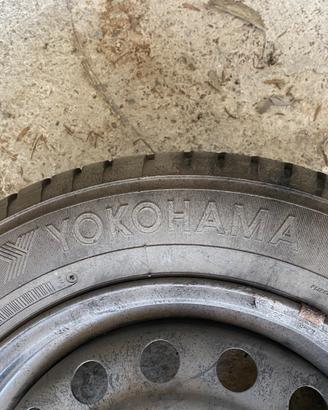 Gomme antineve 