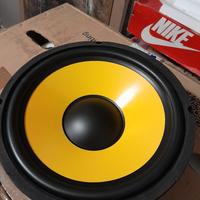 Woofer 25 cm. Nuovo  è  4 ohm