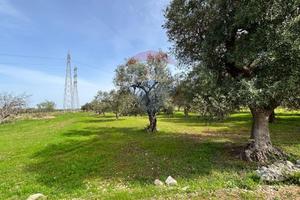 Terreno Edificabile - Bari