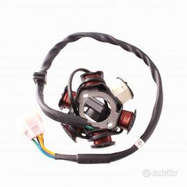 Statore 6 poli Pit Bike Quad ATV