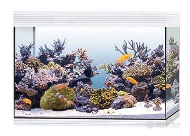 Acquario askoll marine xxl