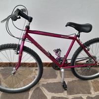 bicicletta montanbike 