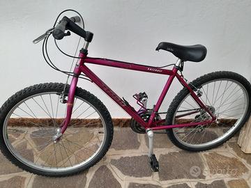 bicicletta montanbike 