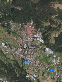 Terreno con ulivi e piante da frutto