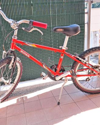 Bicicletta MTB ruote 20 pollici