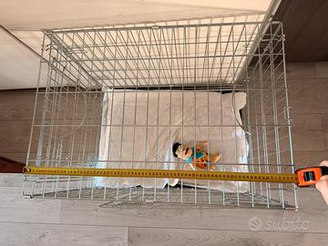 Kennel per cani