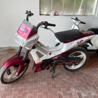 Malaguti fifty top color