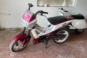 Malaguti fifty top color