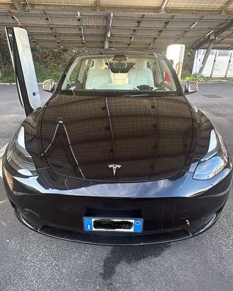 Tesla Y RWD
