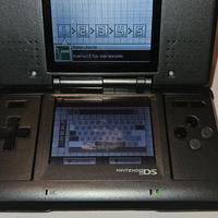nintendo ds