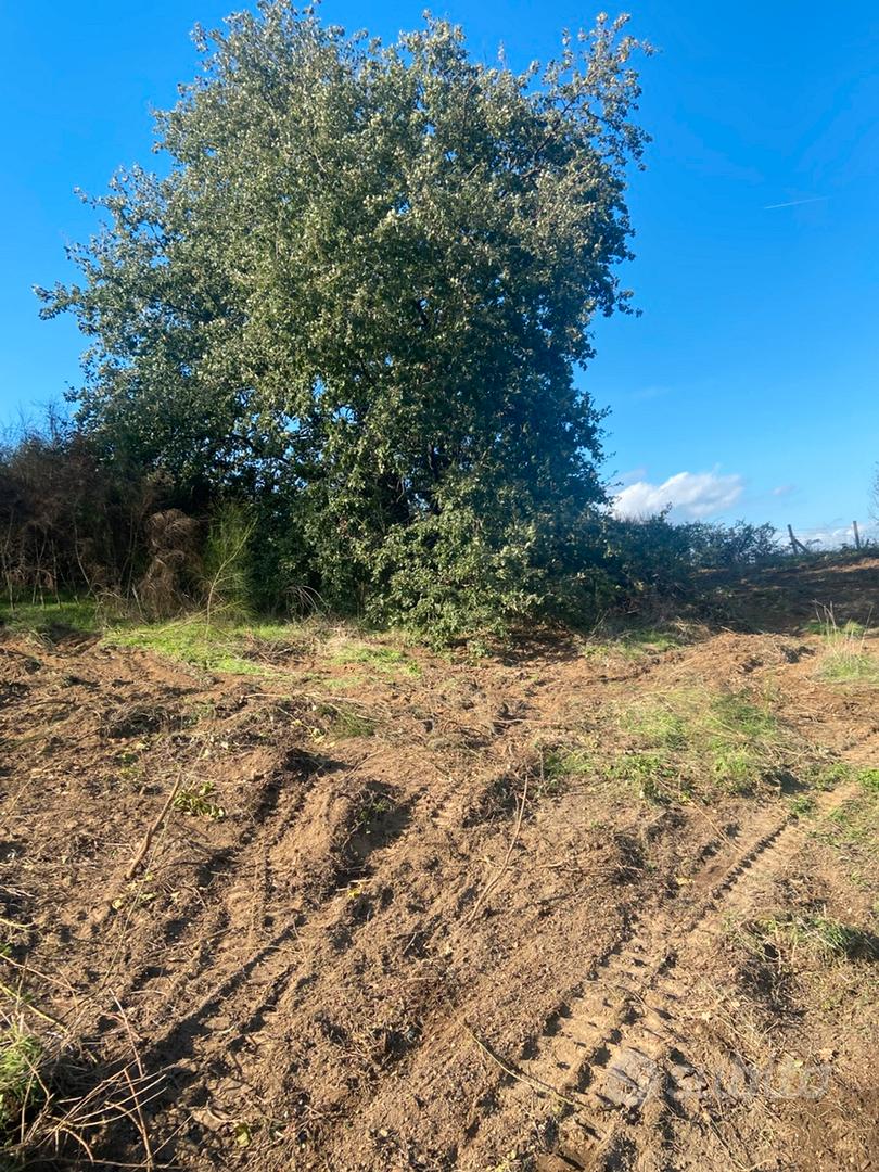 Terreno agricolo - Vista 3