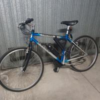 Bici Sempion Antares