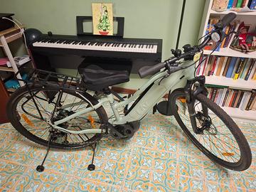 Liv Bicicletta elettrica Rove E+