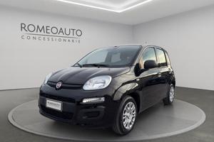 FIAT Panda 1.0 Hybrid 70cv 5 posti