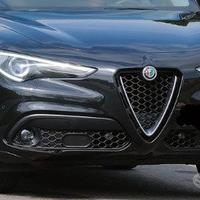 Ricambi alfa romeo stelvio-musate complete num 7