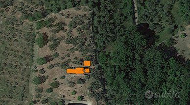 Terreno agricolo uliveto più deposito di 80 mq