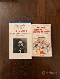 Libri Gino e Michele