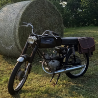 Guzzi Dingo gt 49cc 1969