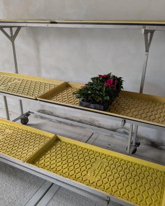 Espositore per piante e fiori