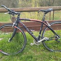 bicicletta wilier triestina Basssno