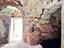 Immagine 10