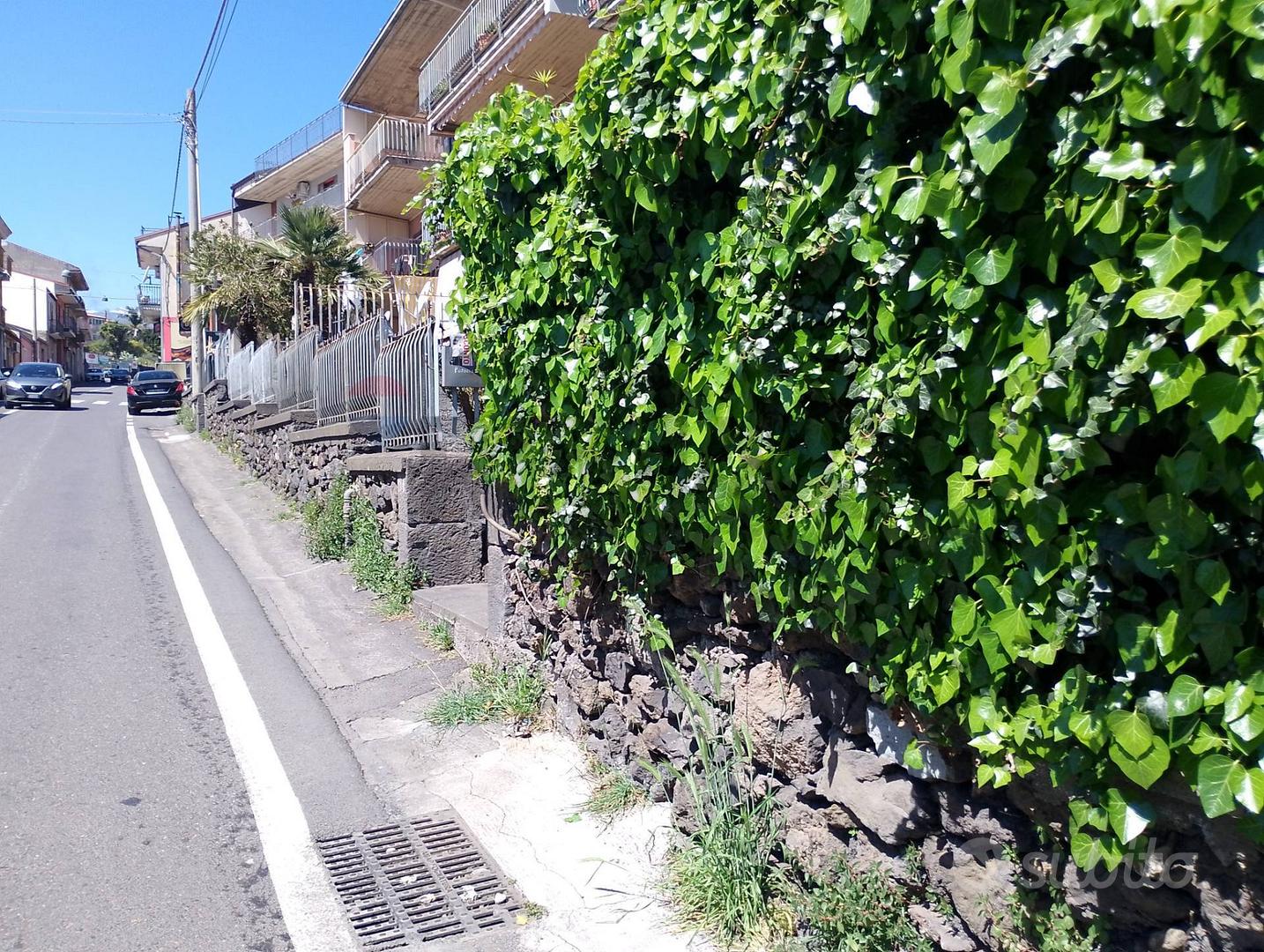 Appartamento – Piedimonte Etneo, Catania - Altro