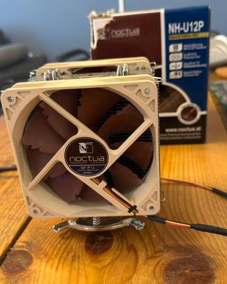 Noctua nh-u12P dissipatore ad aria